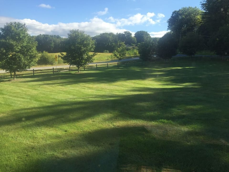 The Lawn.
