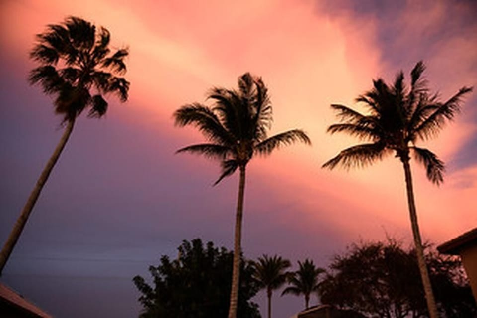 Sunsets on the beach