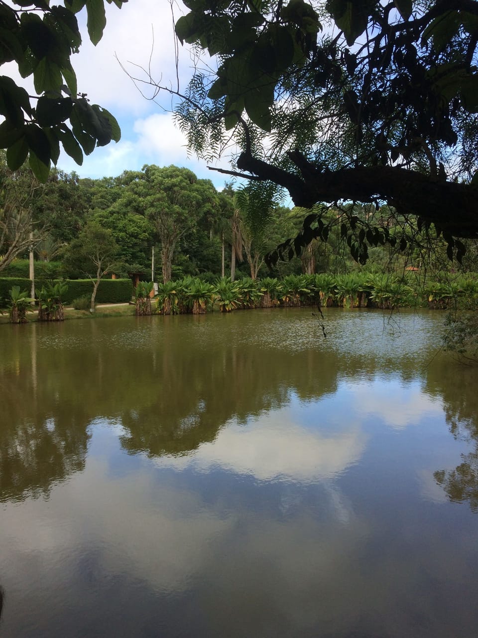 Lake