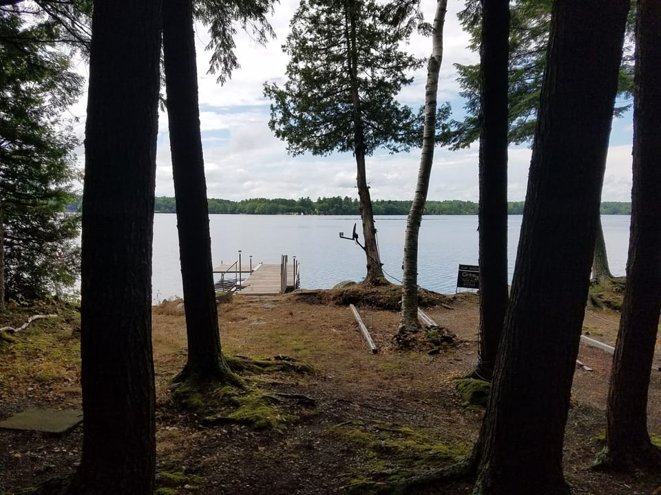 View from Screened in porch