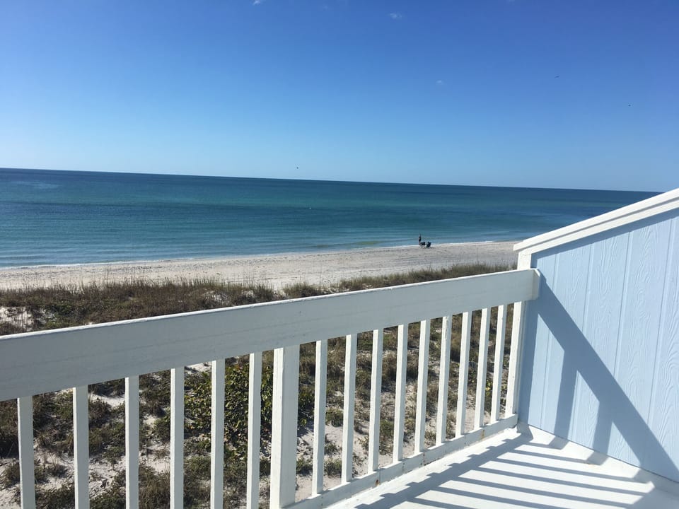 Dolphin in the distance!