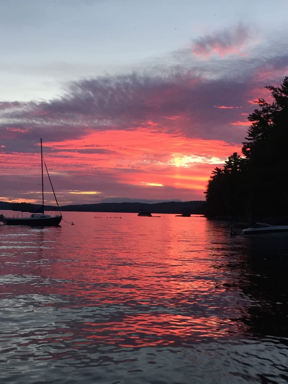 All I can say is- NO FILTER! Sunset from the dock