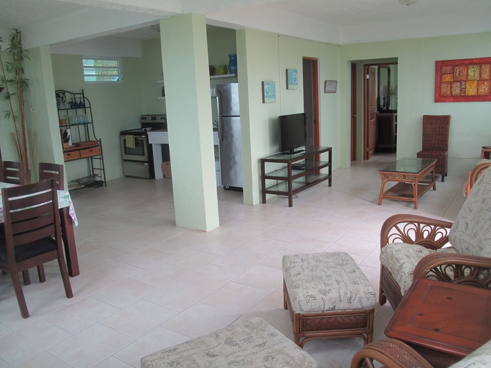 Spacious open plan lower level living and dining area.