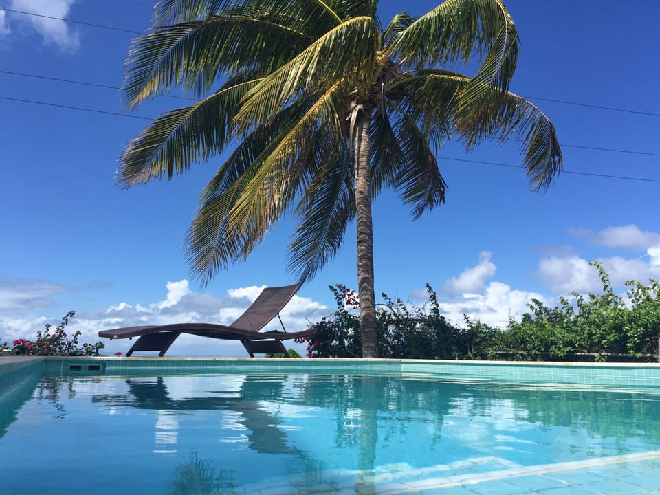 Sunbathe to the breeze in the palms.