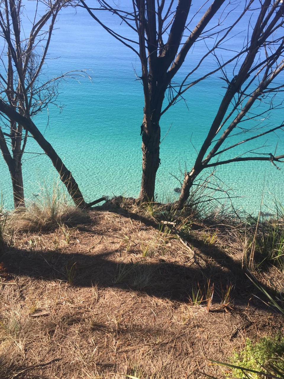 views from the clifftop walk between Shelly and Spring Beaches