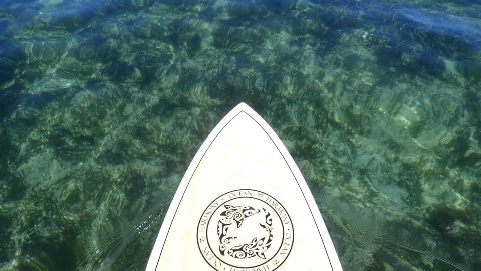 Have a surf