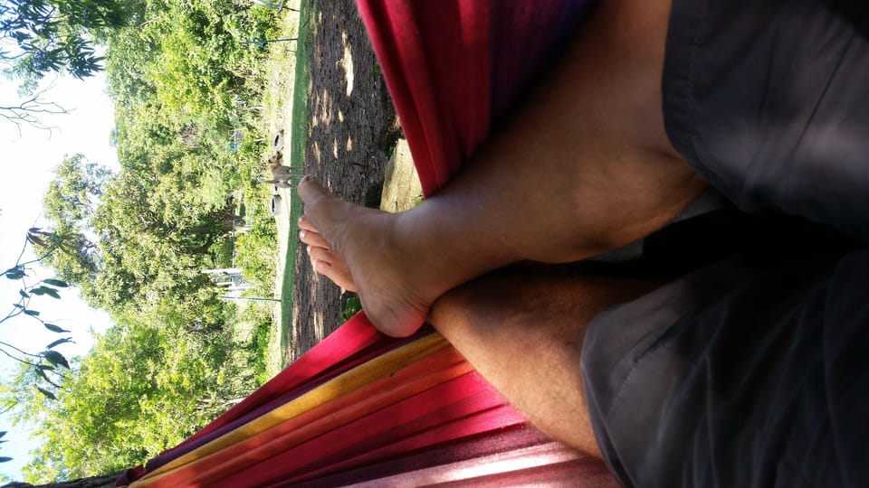 Swaying in the wind