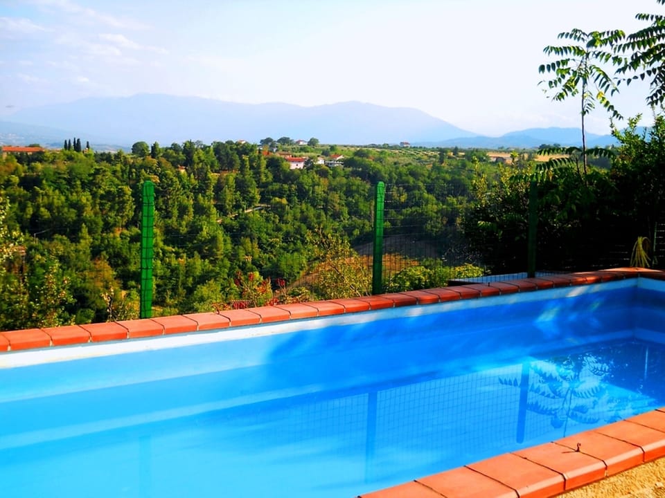 view from swimming pool 