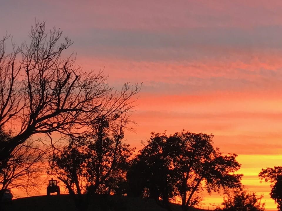 Sunset on the farm