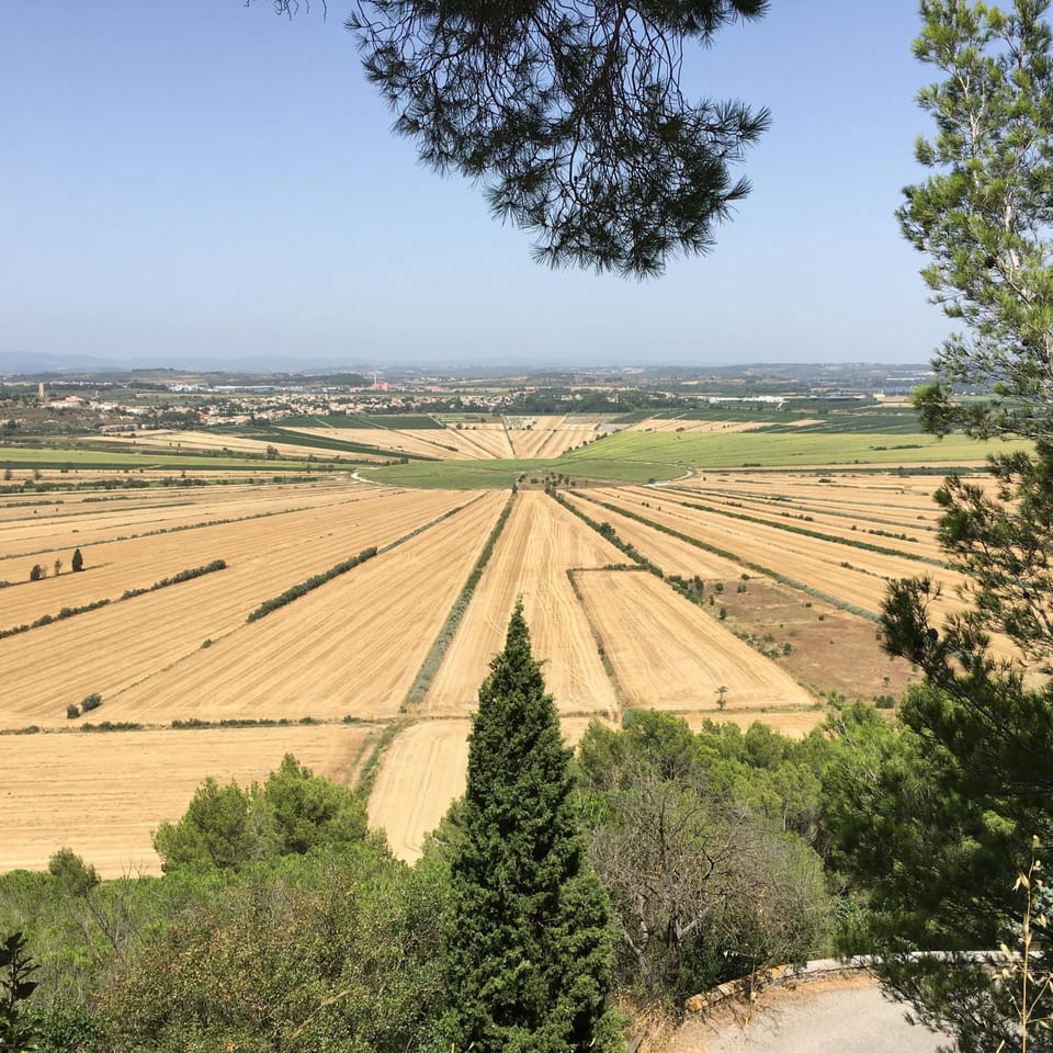 The nearby Etang de Montady