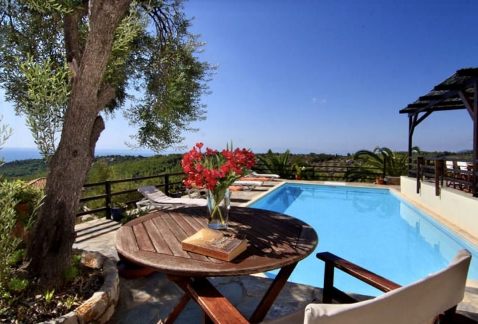 Catch-up on a book beneath the  olive tree