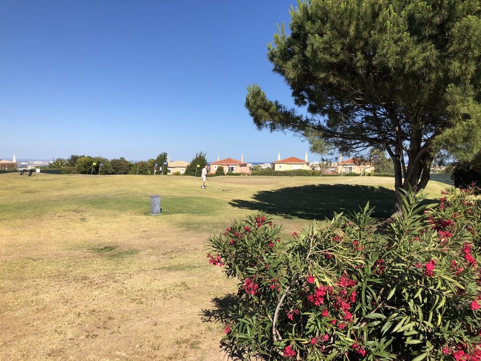 The putting green adjacent to the driving range