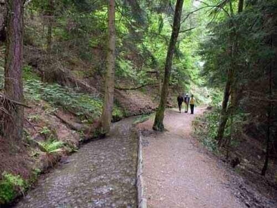 Lovely Bisse walks (ancient irrigation channels)