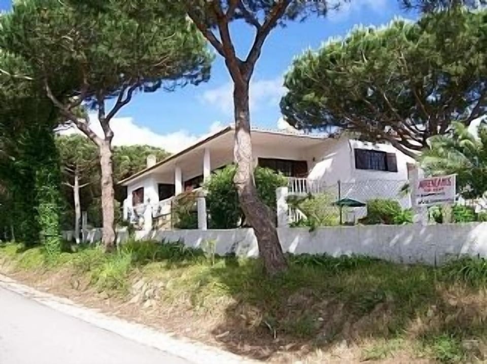 Veranda Side of the House