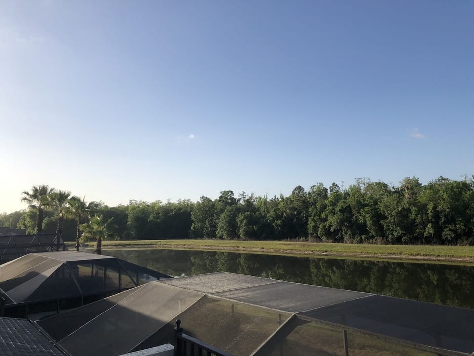 View from The Balcony 