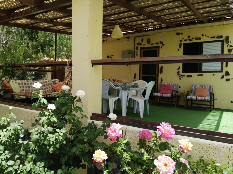 terrace