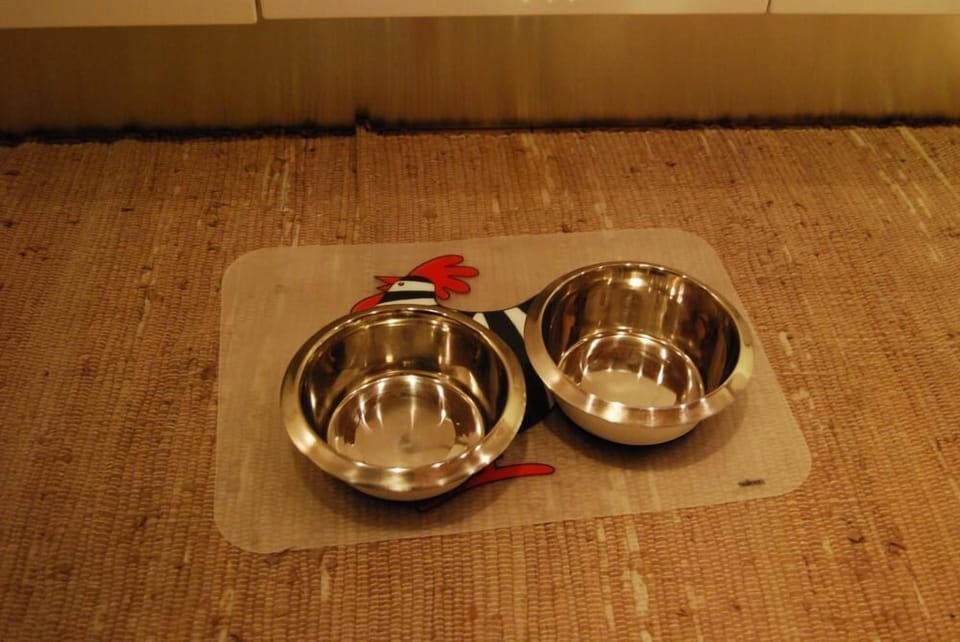 for your little pets