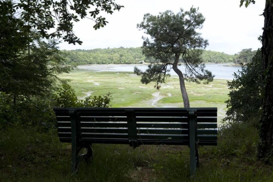 From the bench in the woods