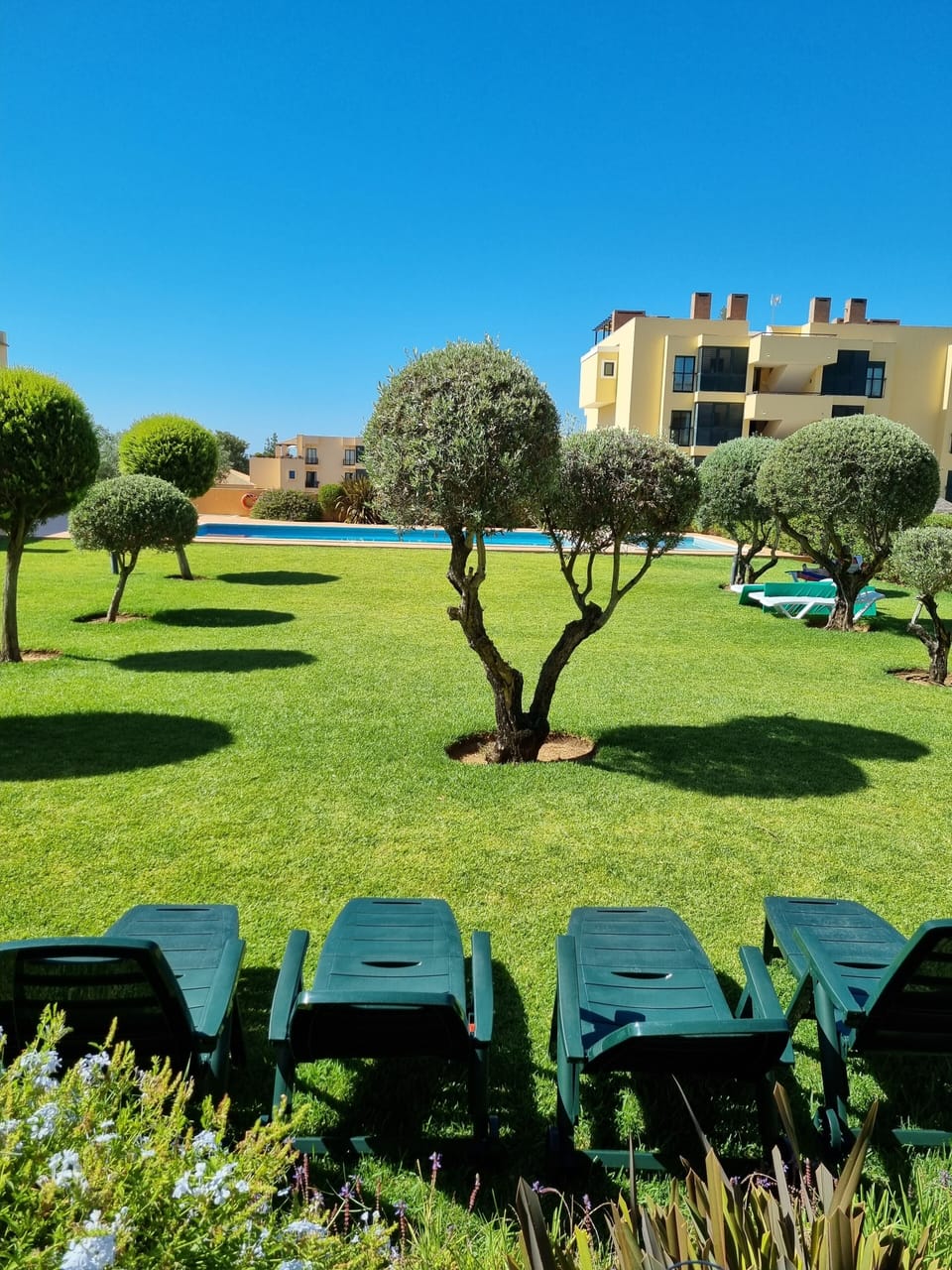 Garden area