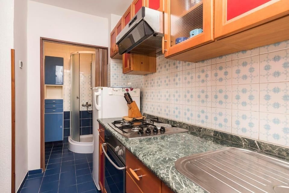 The equipped kitchen: kettle, fridge with freezer area, oven and the entrance to the bathroom with shower
