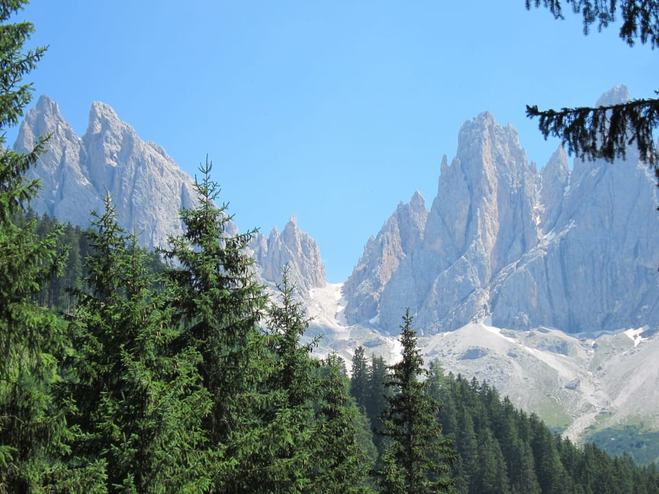Laitacherhof: New apartment with sauna and pool in Klausen Apartment in Trentino-South Tyrol
