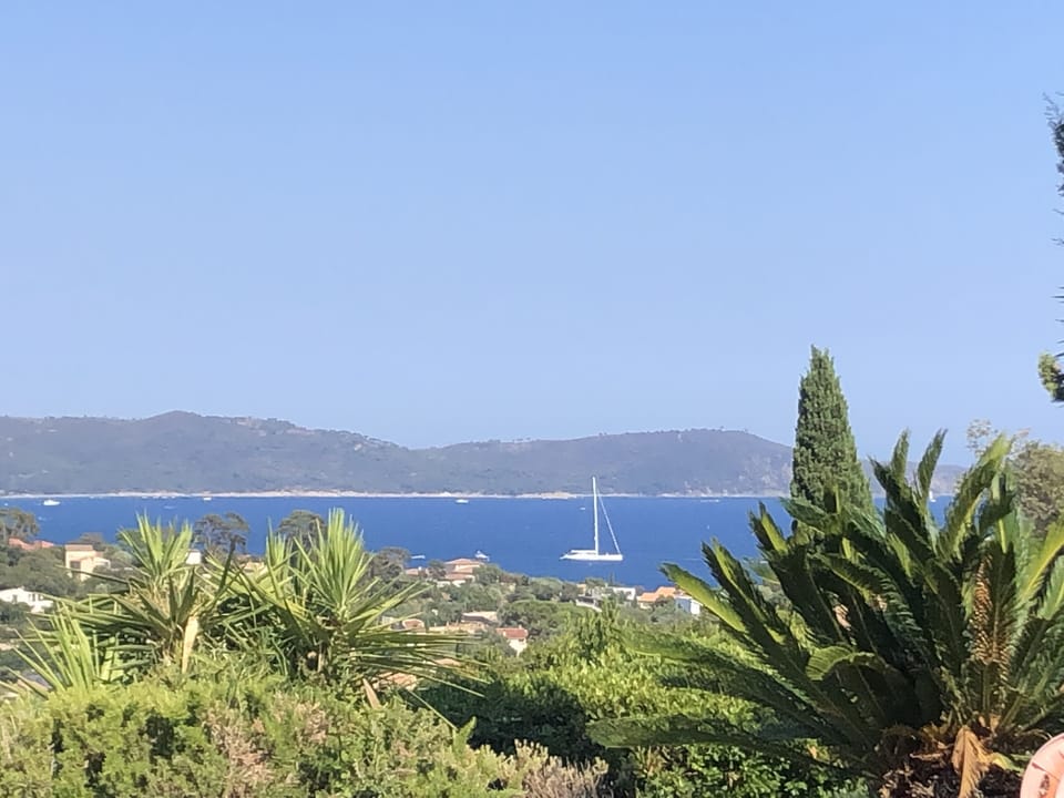 Meerblick vom Garten