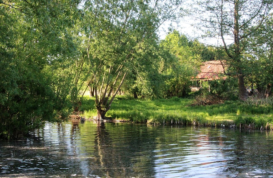 Lake