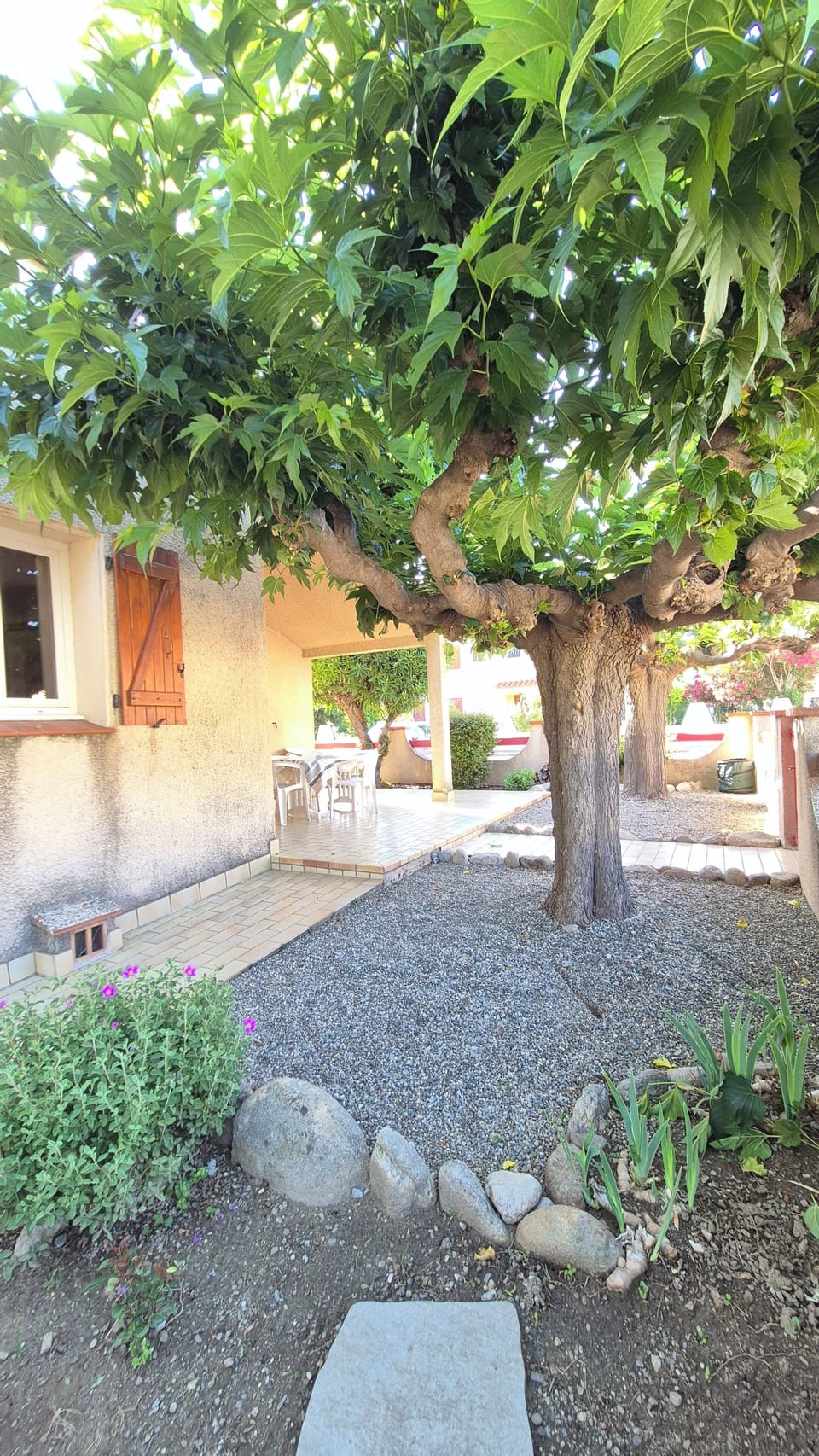 Terrace/patio