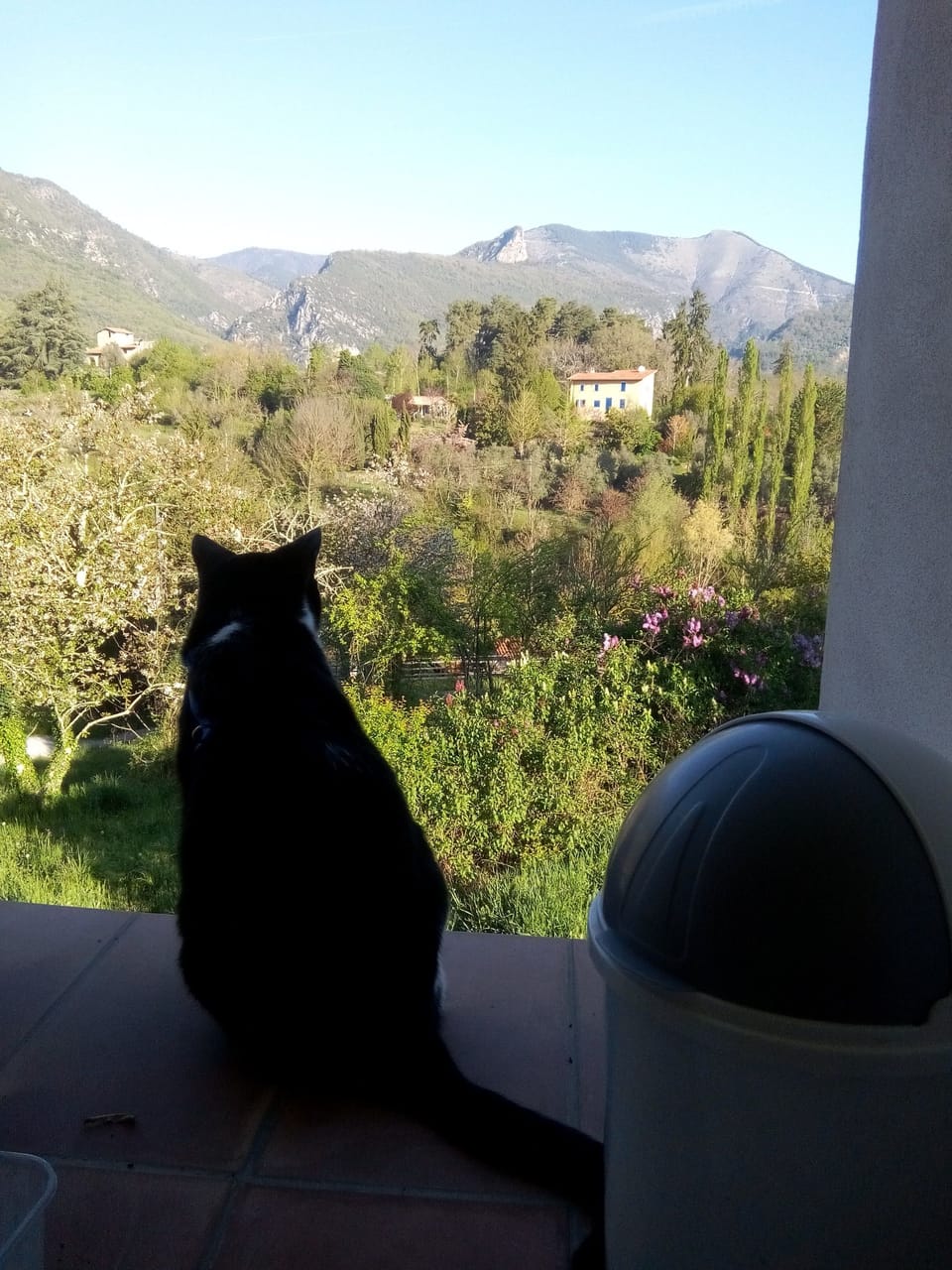 View from property