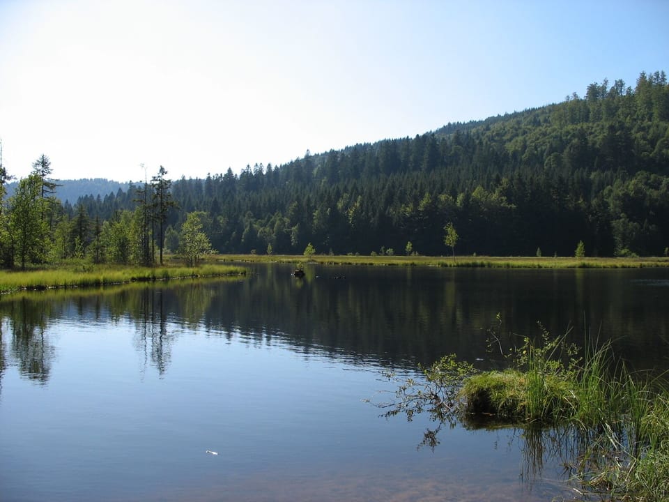 Lake