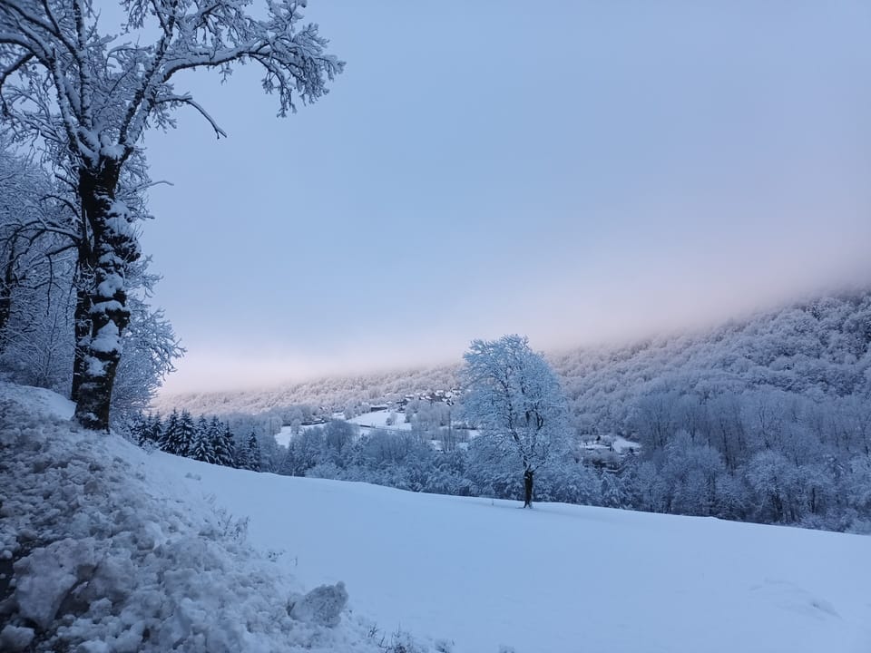 Snow and ski sports