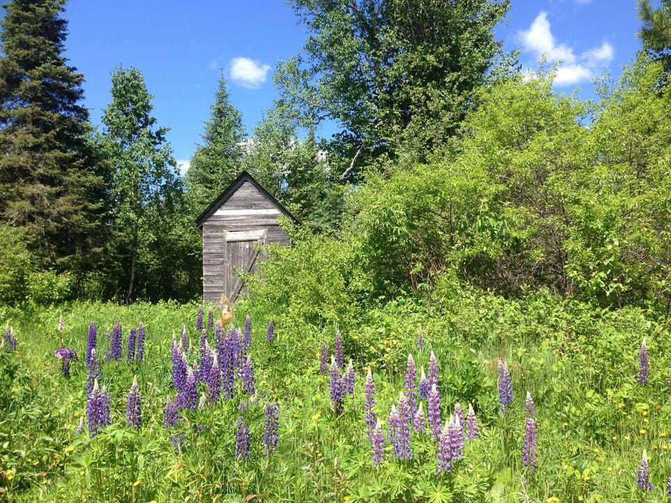 Shed/ View out of front door