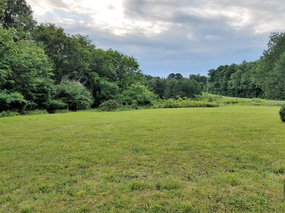 Beautiful view, plenty of room, deer often visit