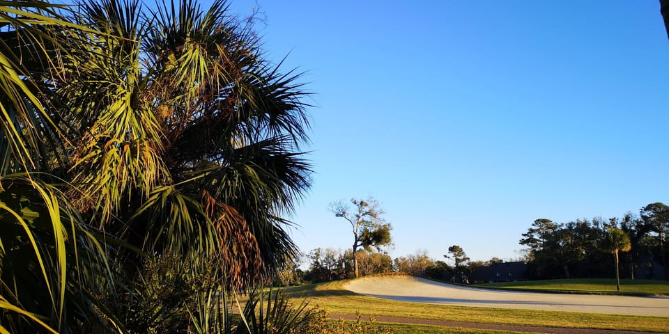 Golf view