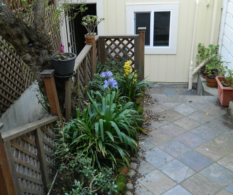 Courtyard.