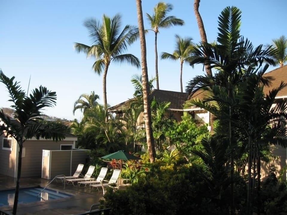 View From Your Lanai