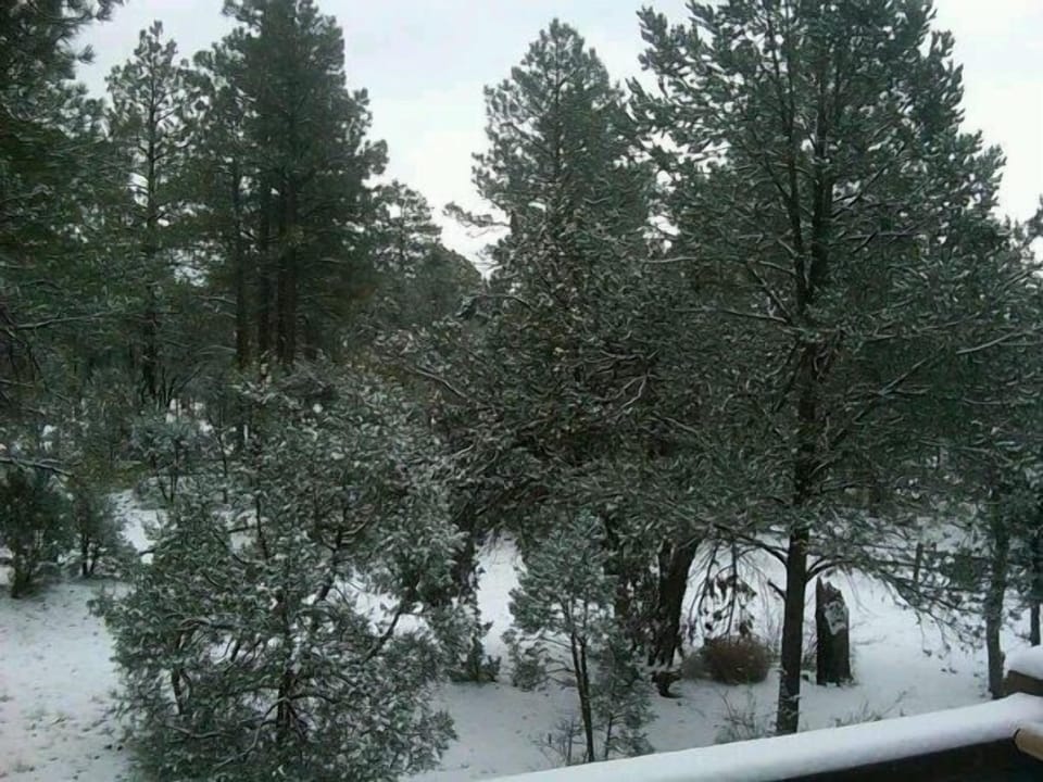 View from deck