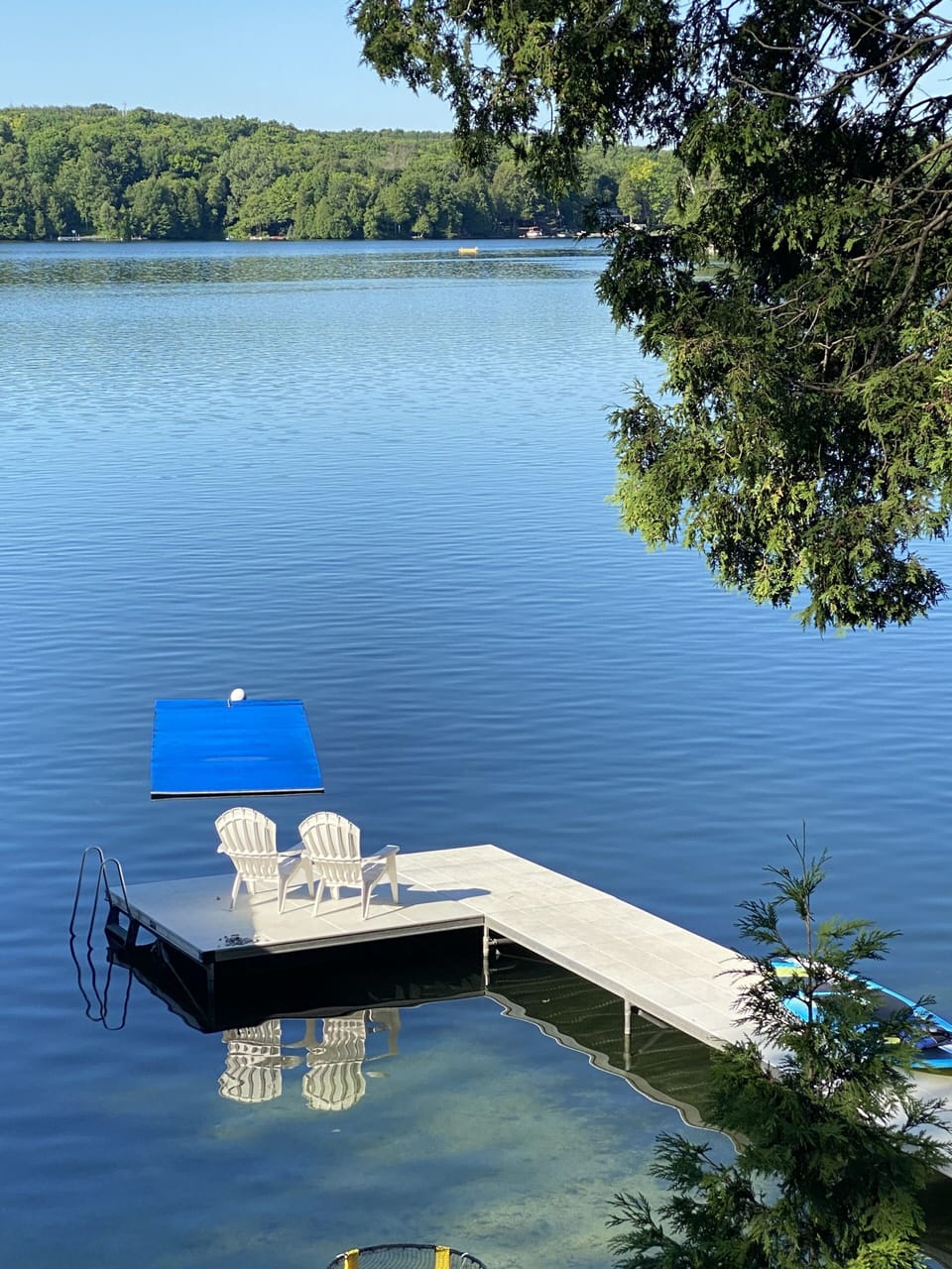 Lovely view of the lake.
