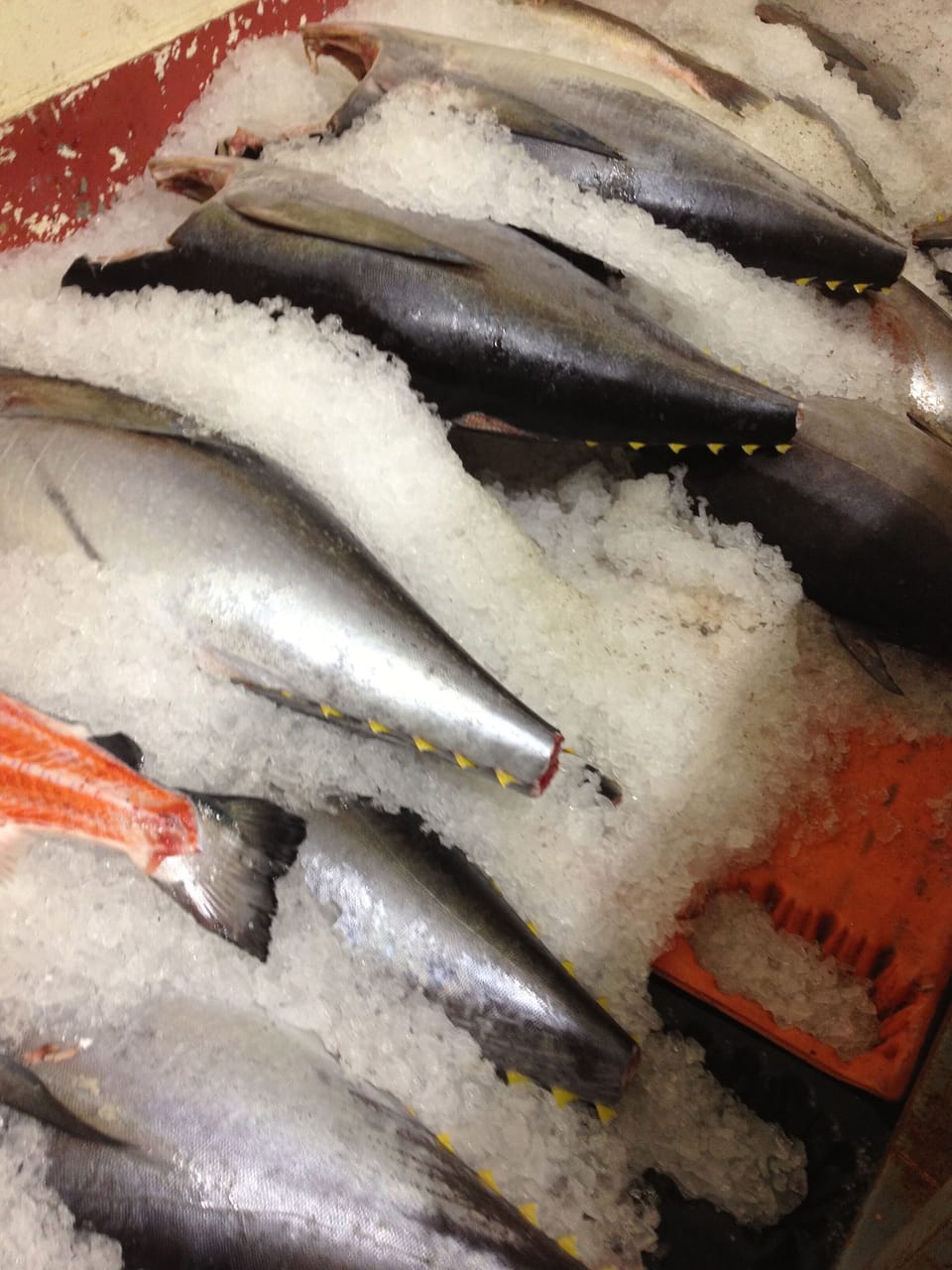 Local Fresh Fish