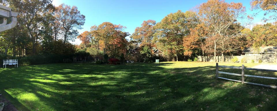 Garden and herbs garden in the back