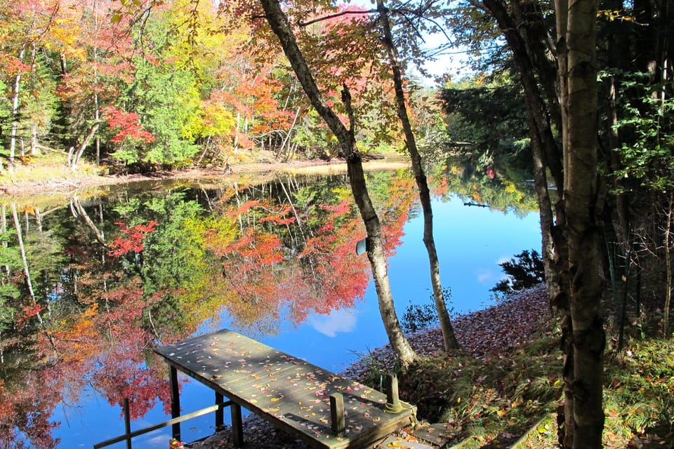 Fall view upriver from dock