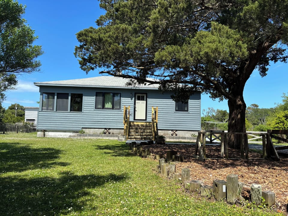 Front yard with bike rack and cedar tree