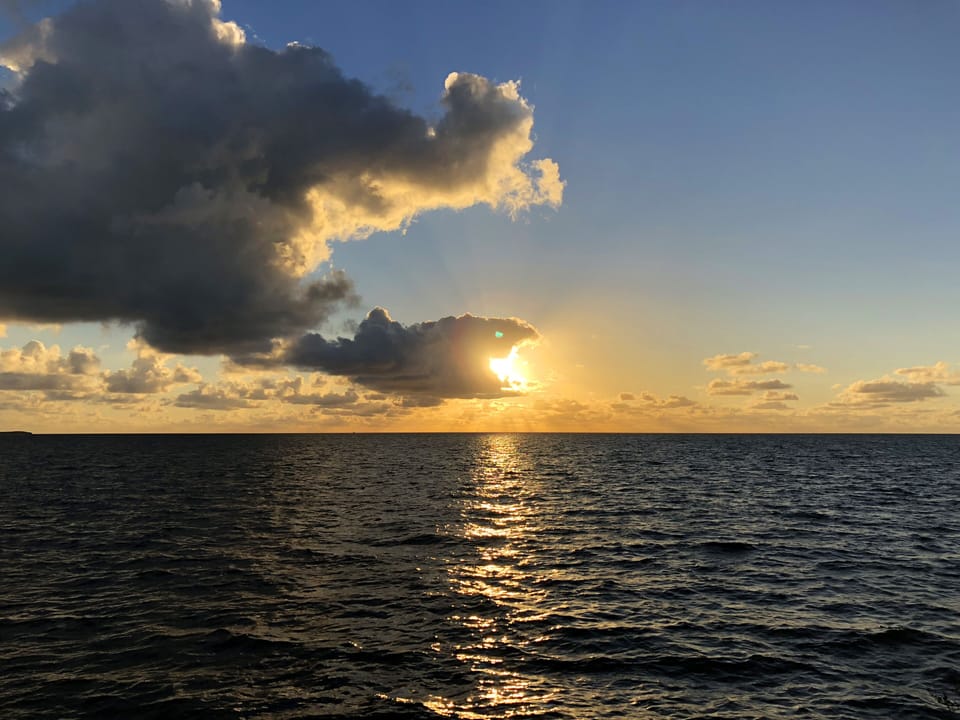 Grouper Sunrise from pier