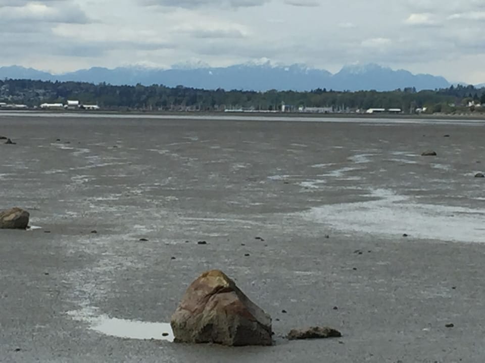 Low Tide view of Canada