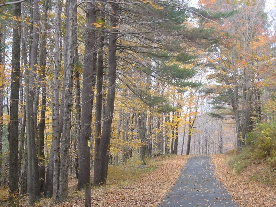 An Autumn Stroll Down a Country Lane