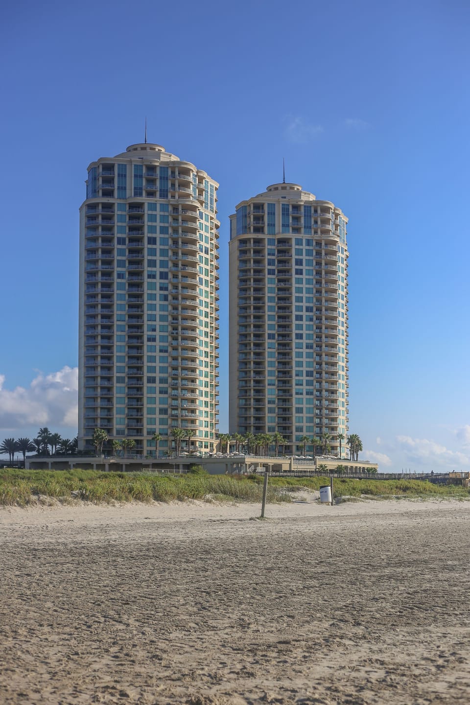 Palisade Palms