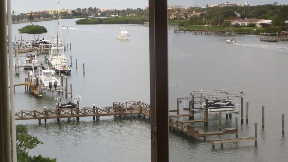 View from kitchen table