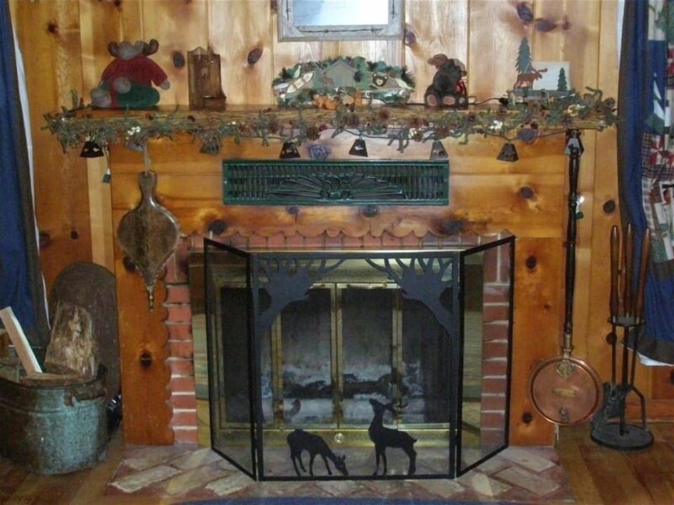 Stay warm and cozy in front of the fireplace.  We provide the 
wood.
