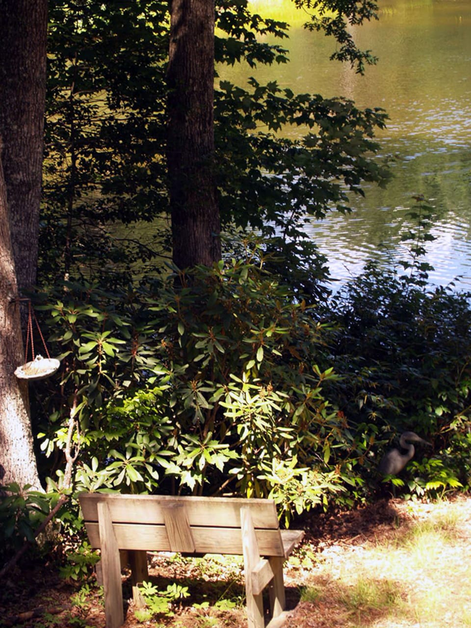 Blue Lake Meditation