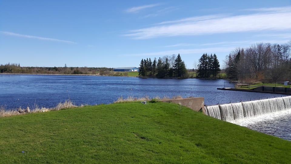 View of the Pond from the back Deck